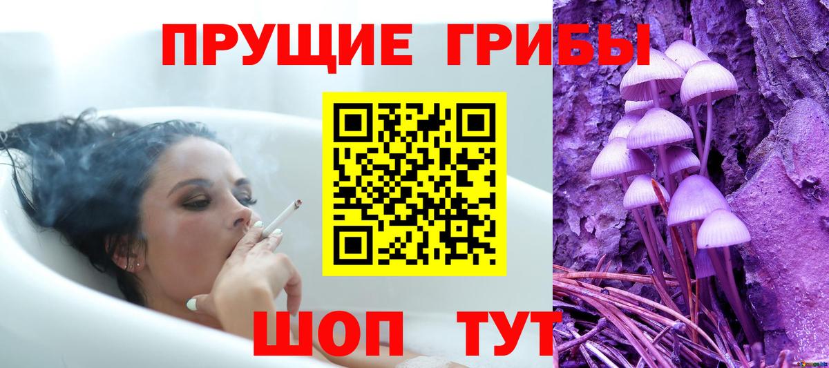 Галлюциногенные грибы Magic Shrooms Владимир