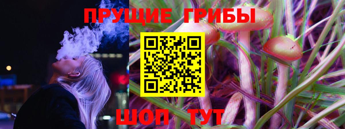 купить закладку  Вход с VPN  Владимир  Псилоцибиновые грибы Cubensis 