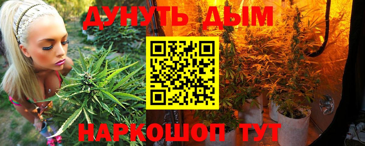 Бошки Шишки LSD WEED  МАРИХУАНА семена  Вход с VPN  Каннабис семена  Владимир  Каннабис гибрид 